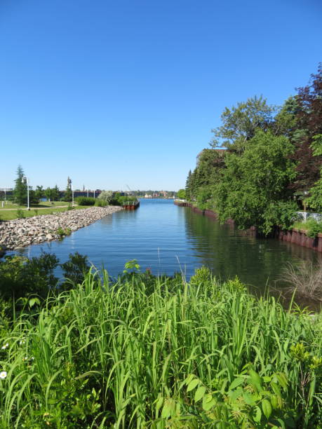istock Water canal surrounded by lush green foliage perspective 1145359808