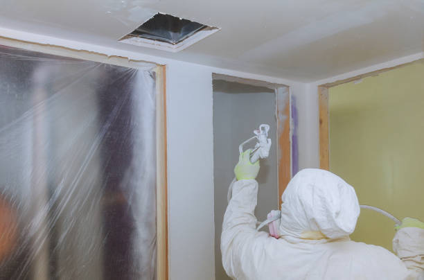 istock Worker painting wall with spray gun in white color. 1145361618