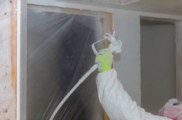 istock Man painting walls with white colour using spray paint gun. 1145361620