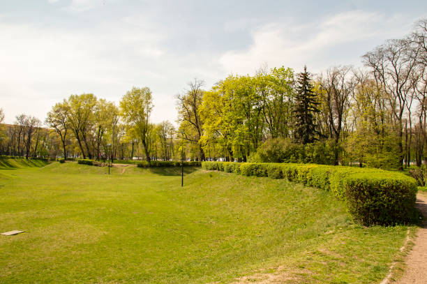 istock Green lawn with a bush in a city park 1145375006