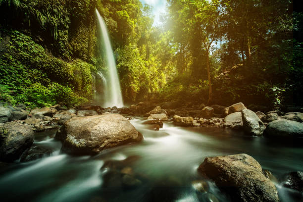 istock Sendang Gile waterfall is a stunning waterfall on Lombok, Indonesia. 1145376042
