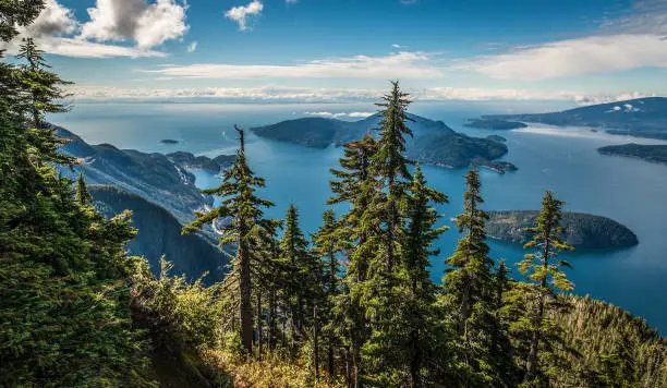 Summer photo of the Howe Sound near Vancouver, British-Columbia.  Hiking on the Howe Sound Crescent Trail.