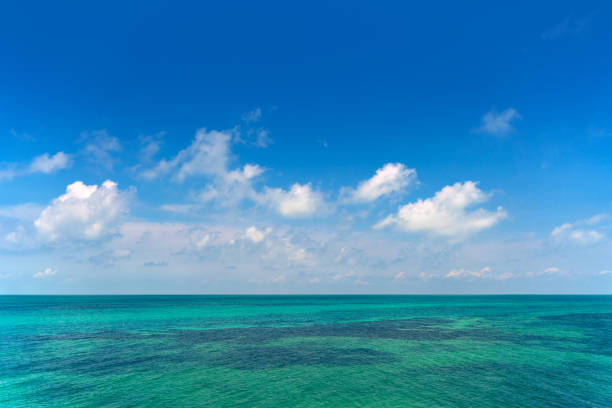 istock Sandbar at the Florida Keys 1145379589