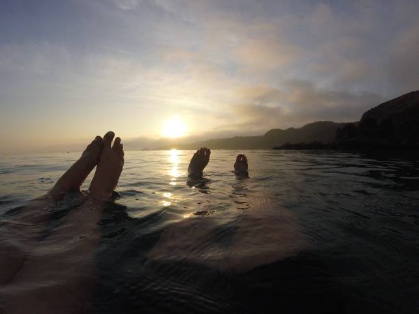 istock Floating in the sea 1145382600