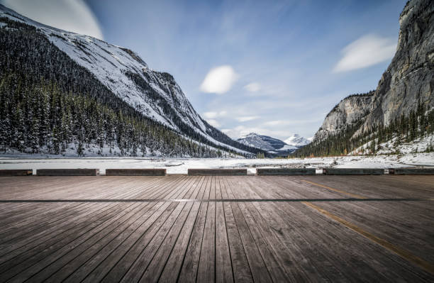 istock empty observation patio front of rocky mountains 1145382750