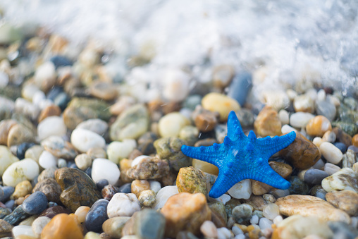Blue starfish on a pebble sea beach sand against sea surfs. Splashed by sea waves and surfs. Summer holiday, vacation, travel, exotic destination concept.