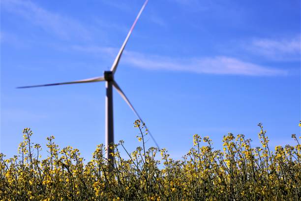 istock wind turbines in field 1145384022