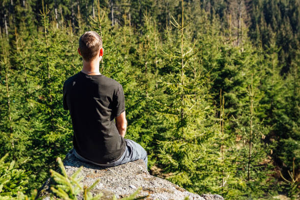 istock Young man sit on rock with trees, looking to valley 1145389735