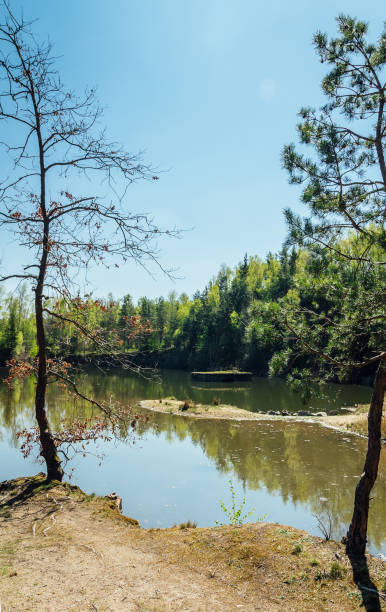 istock Small swamped quarry through two trees with water and blue sky, Czech republic 1145389763