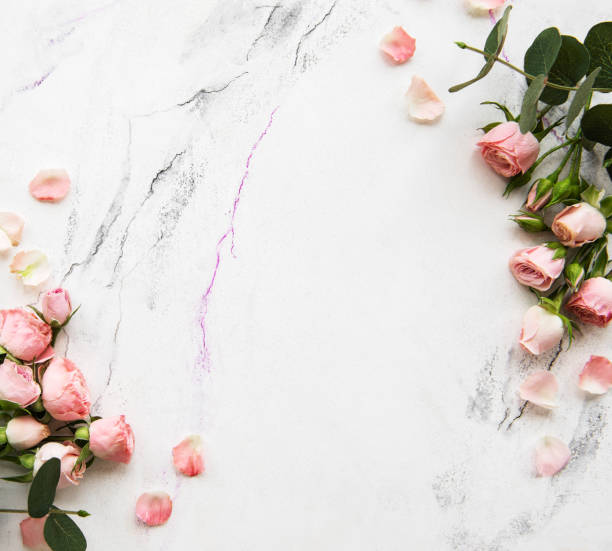 istock Holiday background with pink roses 1145391340