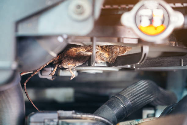 istock Close-Up Of Machine Part 1145406047