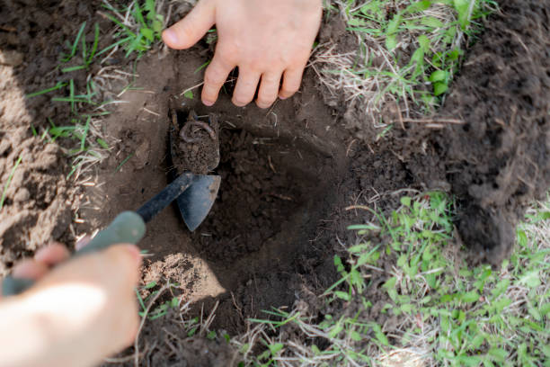 istock young man hold bunch of soil with earth worms b 1145407859