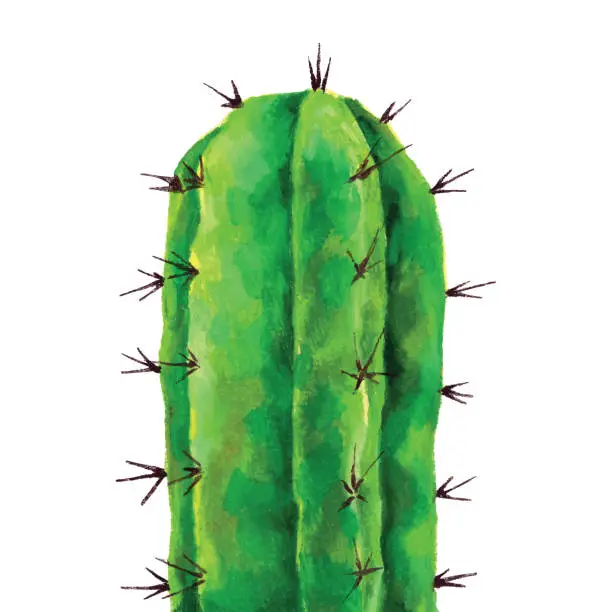 Vector illustration of Painting of Cactus