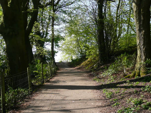 istock Springs day in Preston 1145412186