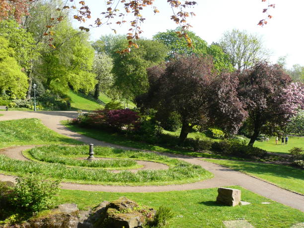 istock Lovely springs morning in Avenham Park 1145412216