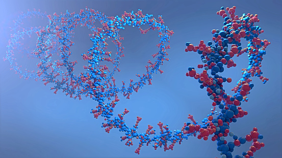 cadena de ácido ribonicleico de la que se compone el ácido desoxirribonucleico o ADN-Ilustración 3D photo