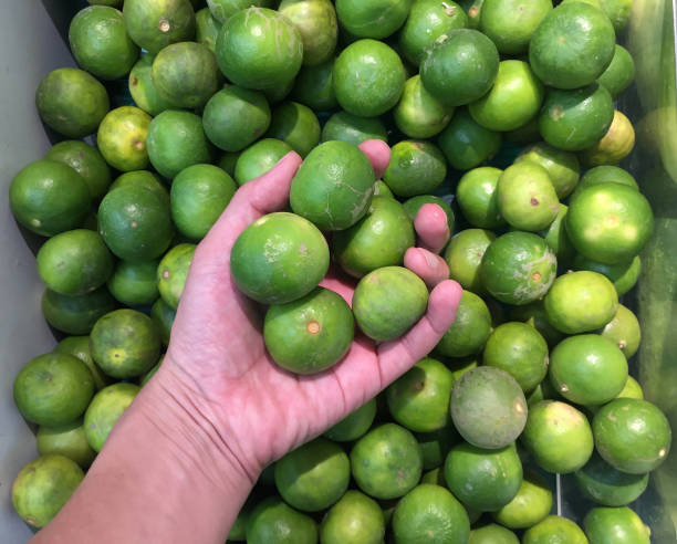 istock Green lime in hand and background heap of lime. 1145416706
