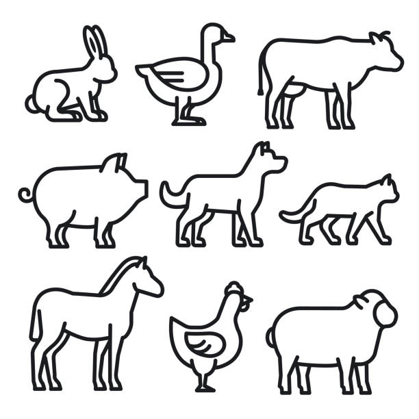 Farm Animals Icons Stock Illustration - Download Image Now - Icon, Domestic  Cattle, Cow - iStock