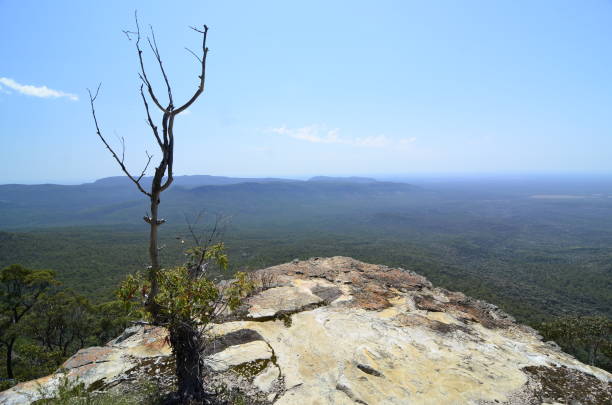 istock Lookout over Queensland 1145417938