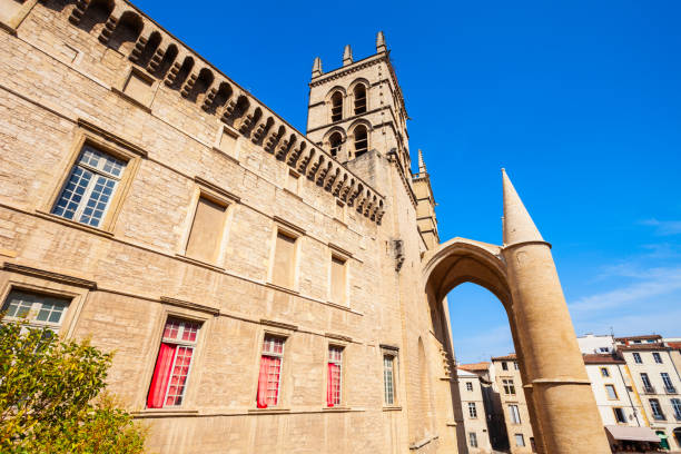 istock Saint Pierre Cathedral, France 1145419214