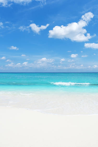 istock Sunny beach and seascape 1145420132