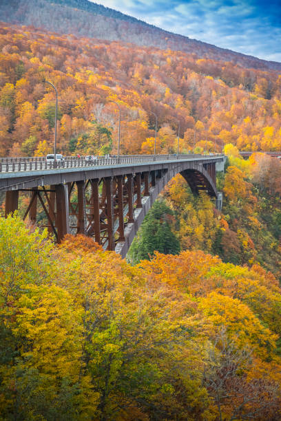 Jogakura Bridge at Aomori prefecture in autumn season Jogakura Bridge at Aomori prefecture in autumn season hakkoda mountain range stock pictures, royalty-free photos & images