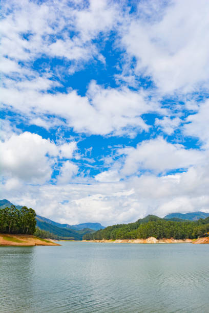 istock Lake landscape in summer 1145424845