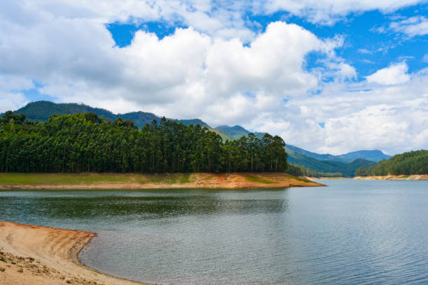 istock Lake landscape in summer 1145424851