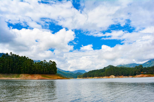 istock Lake landscape in summer 1145424855