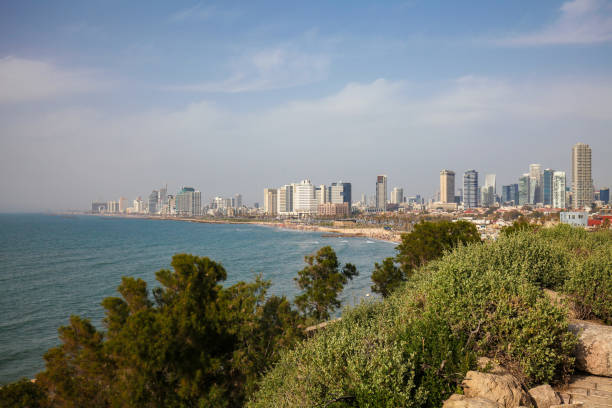 istock Skyline of Tel Aviv, Israel 1145429020