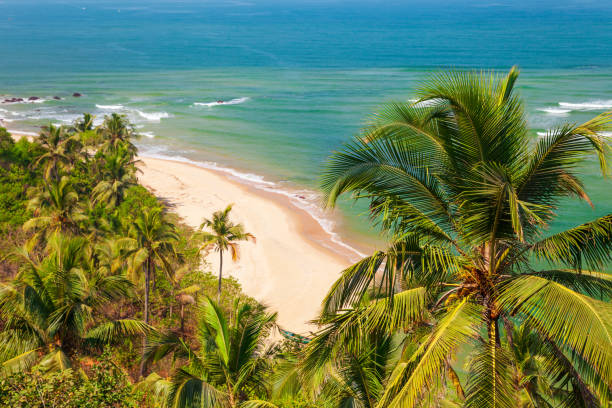 istock Goa beach aerial view, India 1145433251
