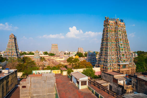 el templo meenakshi amman en madurai - madurai kerala india tamil nadu fotografías e imágenes de stock
