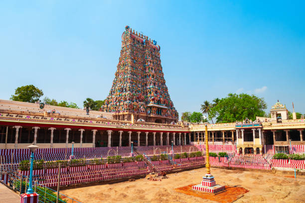 el templo meenakshi amman en madurai - madurai kerala india tamil nadu fotografías e imágenes de stock