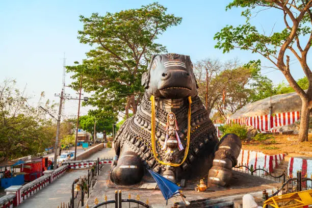Shri Nandi monument is a hindu holy bull statue located on the top of Chamundi Hills near Mysore in India