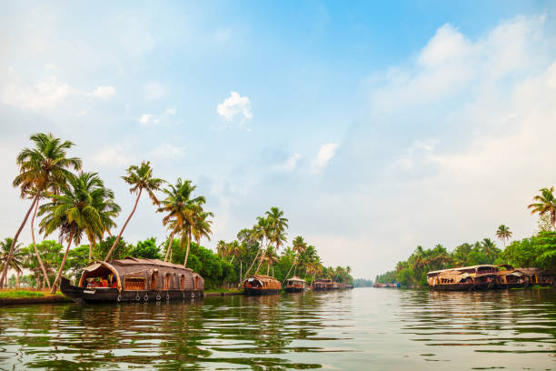 istock Houseboat in Alappuzha backwaters, Kerala 1145433388