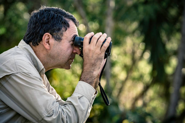 istock Hispanic mature man looking through binoculars in the forest 1145433411
