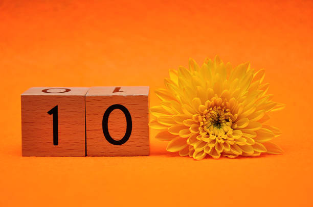 istock Number ten with a yellow daisy on an orange background 1145436955
