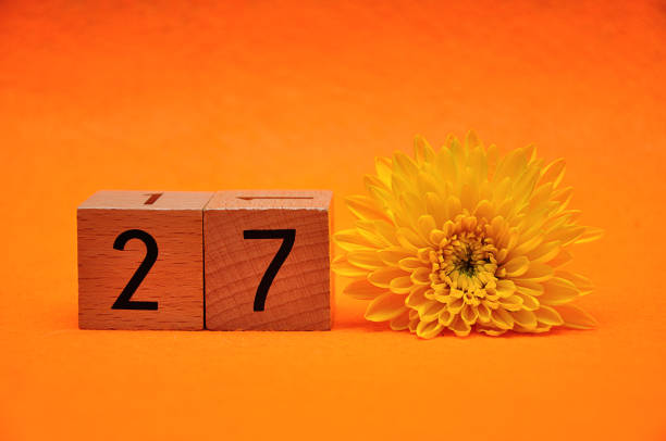 istock Number twenty seven with a yellow daisy on an orange background 1145437019