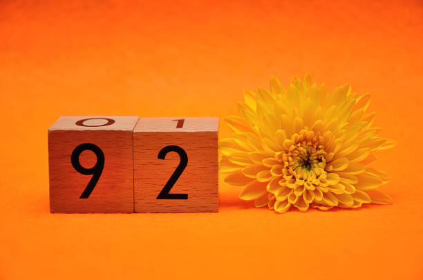 istock Number ninety two with a yellow daisy on an orange background 1145437141