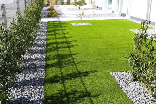 Back yard with very neat rolled turf stock photo