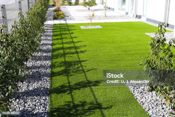Back Yard With Very Neat Rolled Turf Stock Photo - Download Image Now - Turf, Yard - Grounds, Vegetable Garden