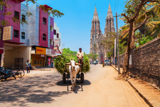 Unidentified man riding bull cart MYSORE, INDIA - MARCH 25, 2012: Unidentified man riding bull cart in India bullock cart india stock pictures, royalty-free photos & images