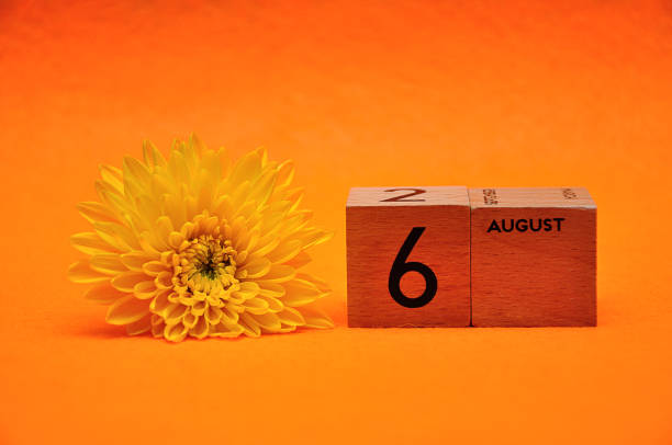 istock 6 August on wooden blocks with a yellow daisy on an orange background 1145444738