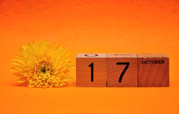 istock 17 October on wooden blocks with a yellow daisy on an orange background 1145445820