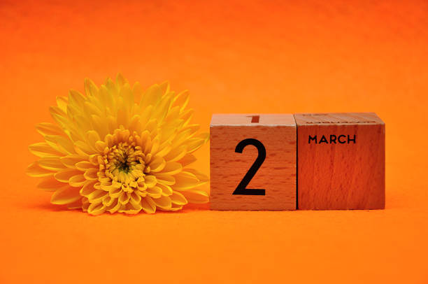 istock 2 March on wooden blocks with a yellow daisy on an orange background 1145446352