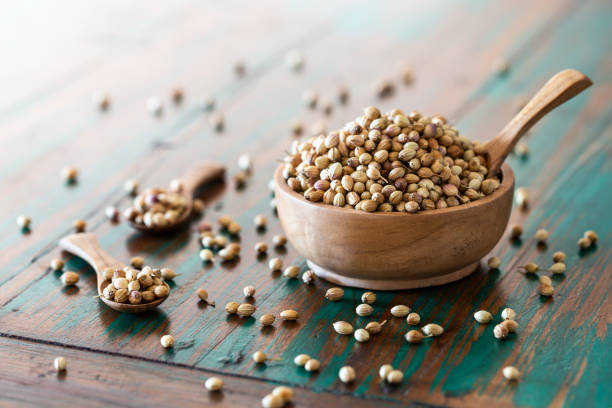 istock Organic Dried coriander seeds (Coriandrum sativum) on colored rustic background. 1145448403