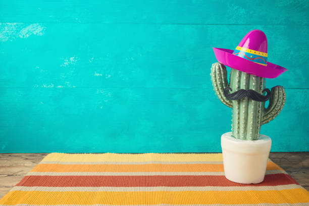 cinco de mayo sfondo vacanza con cactus messicano e cappello sombrero festa su tavolo di legno - photography north america cactus plant foto e immagini stock