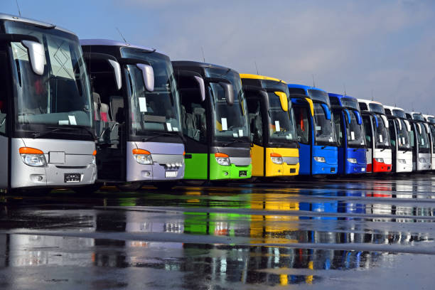 istock Colorful tourist buses in a row 1145452308