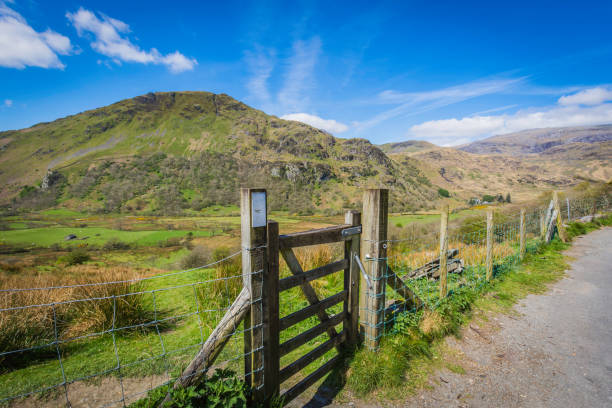 istock Scenic landscape of Snowdonia in spring 1145454031