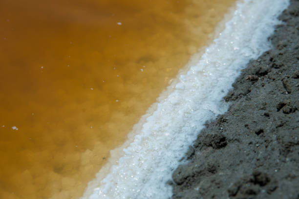 istock Brown water, salt, and soil 1145454118